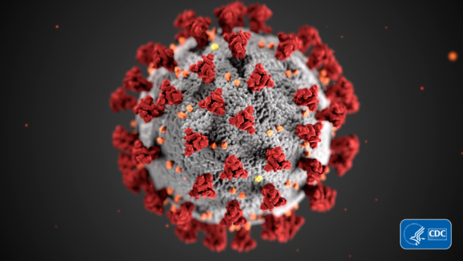 Coronavirus molecule