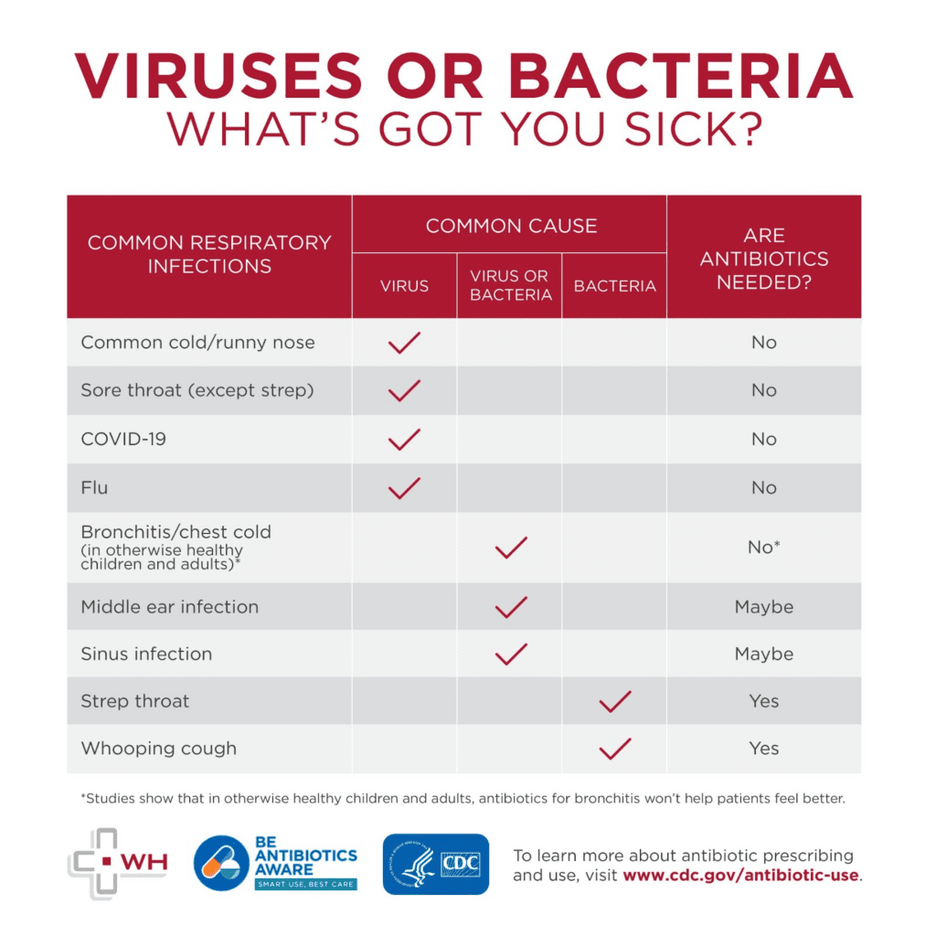Viruses vs Bacteria